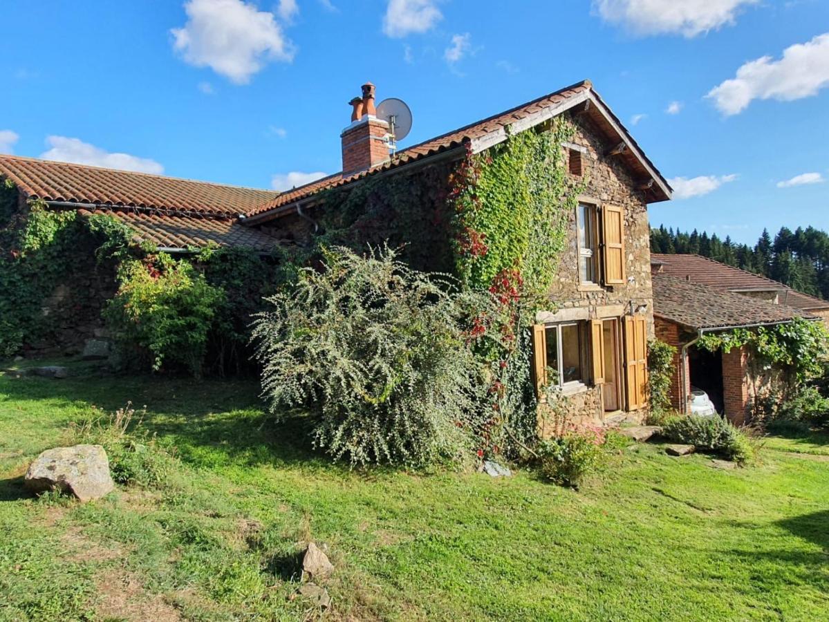 Eco-Gite Cottage Panoramique, Terrasses, Baby Foot, 150 M2 Renove Et Agrandi En 2024, Activites Proposees Champagnac-le-Vieux Exteriör bild